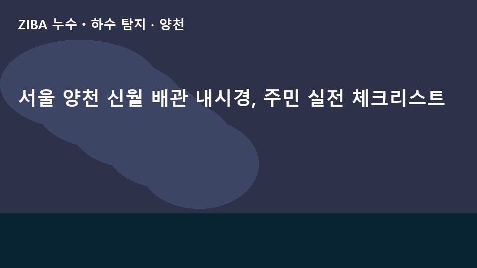 서울 양천 신월 배관 내시경, 주민 실전 체크리스트