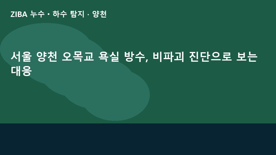 서울 양천 오목교 욕실 방수, 비파괴 진단으로 보는 대응