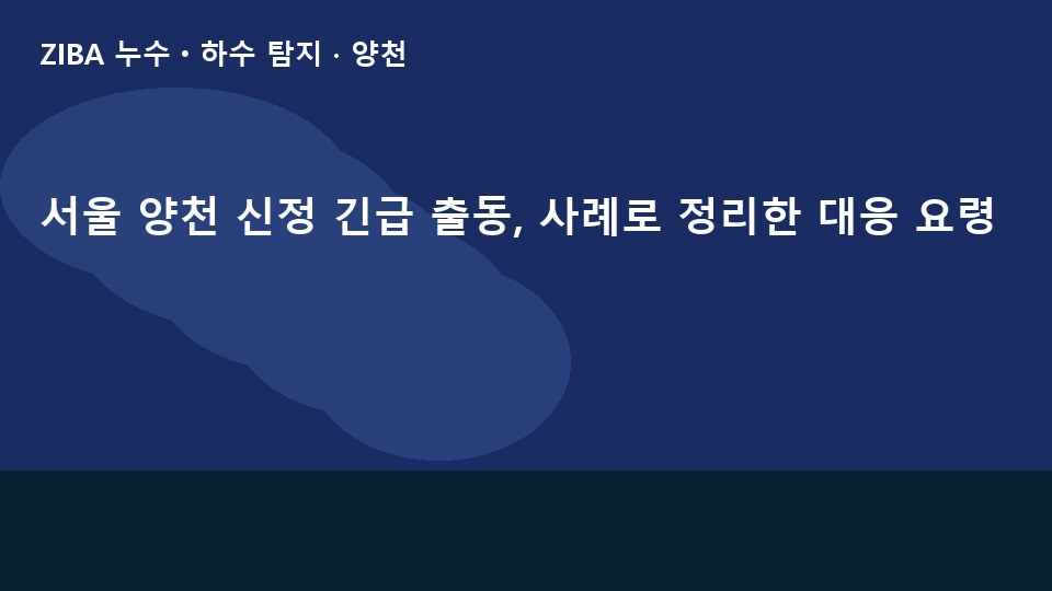 서울 양천 신정 긴급 출동, 사례로 정리한 대응 요령