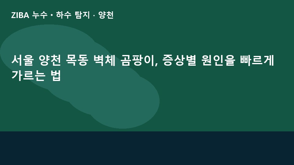 서울 양천 목동 벽체 곰팡이, 증상별 원인을 빠르게 가르는 법