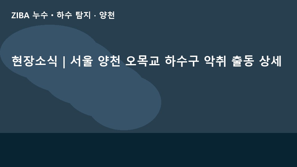 현장소식 | 서울 양천 오목교 하수구 악취 출동 상세