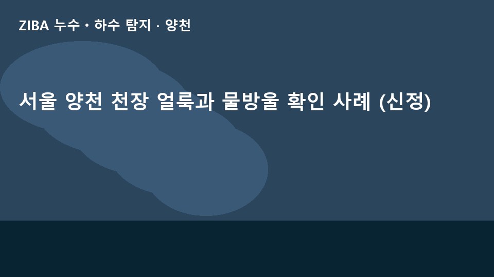 서울 양천 천장 얼룩과 물방울 확인 사례 (신정)