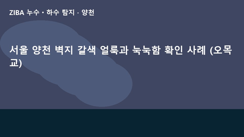 서울 양천 벽지 갈색 얼룩과 눅눅함 확인 사례 (오목교)