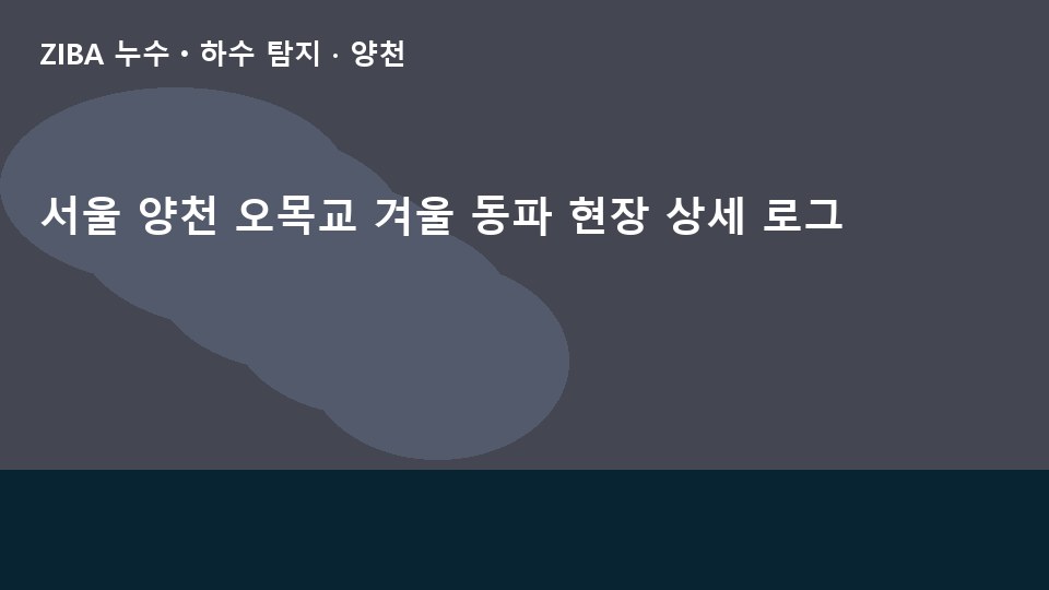 서울 양천 오목교 겨울 동파 현장 상세 로그